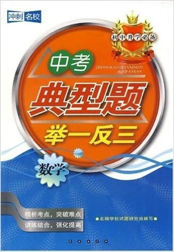 数学 中考典型题举一反三 冲刺名校 初中升学必备