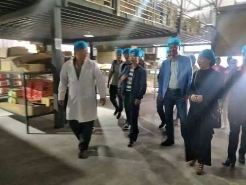 牢记使命跟党走,校企合作谋发展